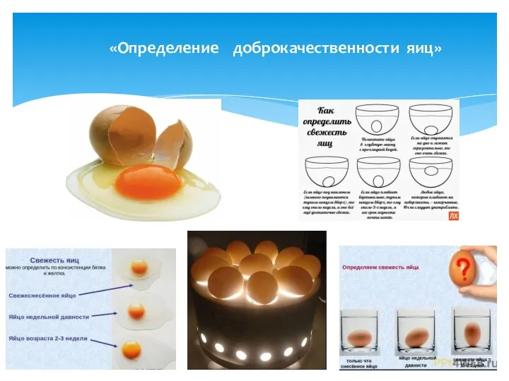 «Определение доброкачественности яиц»