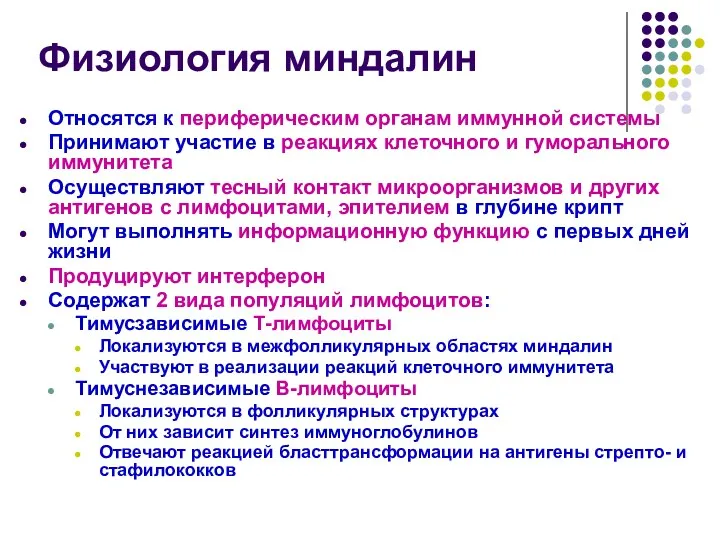 Физиология миндалин Относятся к периферическим органам иммунной системы Принимают участие