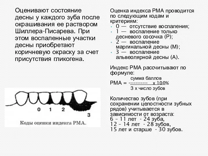 Оценивают состояние десны у каждого зуба после окрашивания ее раствором
