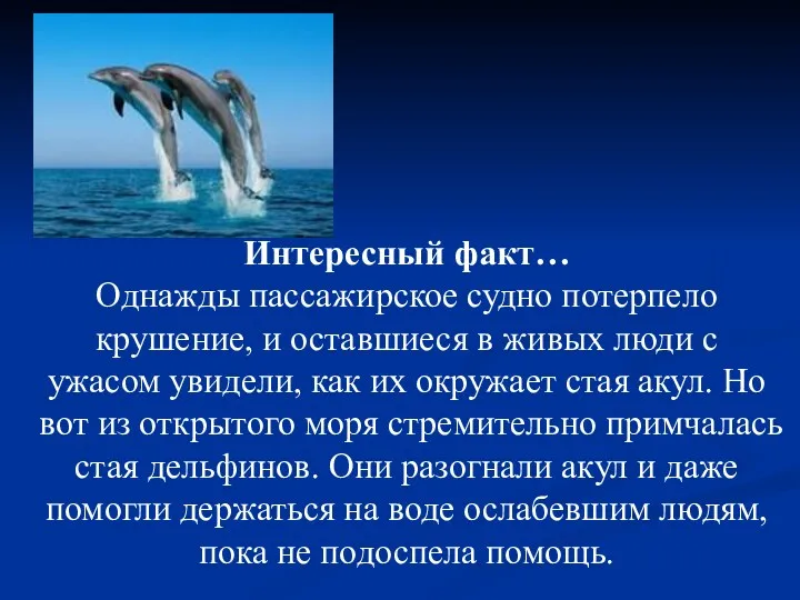 Интересный факт… Однажды пассажирское судно потерпело крушение, и оставшиеся в