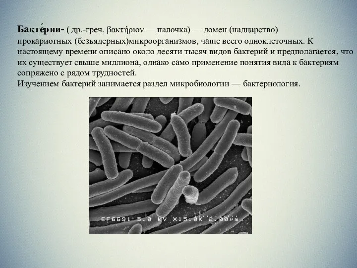 Бакте́рии- ( др.-греч. βακτήριον — палочка) — домен (надцарство) прокариотных (безъядерных)микроорганизмов, чаще всего