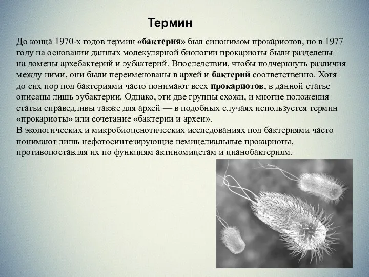 Термин Термин До конца 1970-х годов термин «бактерия» был синонимом прокариотов, но в