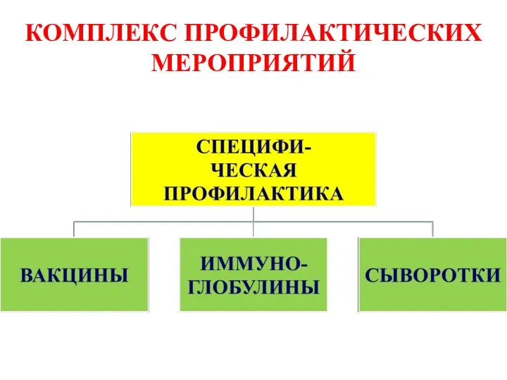 КОМПЛЕКС ПРОФИЛАКТИЧЕСКИХ МЕРОПРИЯТИЙ