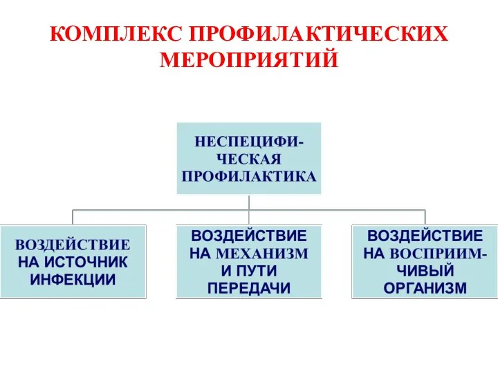 КОМПЛЕКС ПРОФИЛАКТИЧЕСКИХ МЕРОПРИЯТИЙ