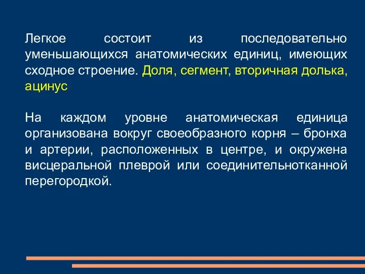 Легкое состоит из последовательно уменьшающихся анатомических единиц, имеющих сходное строение.