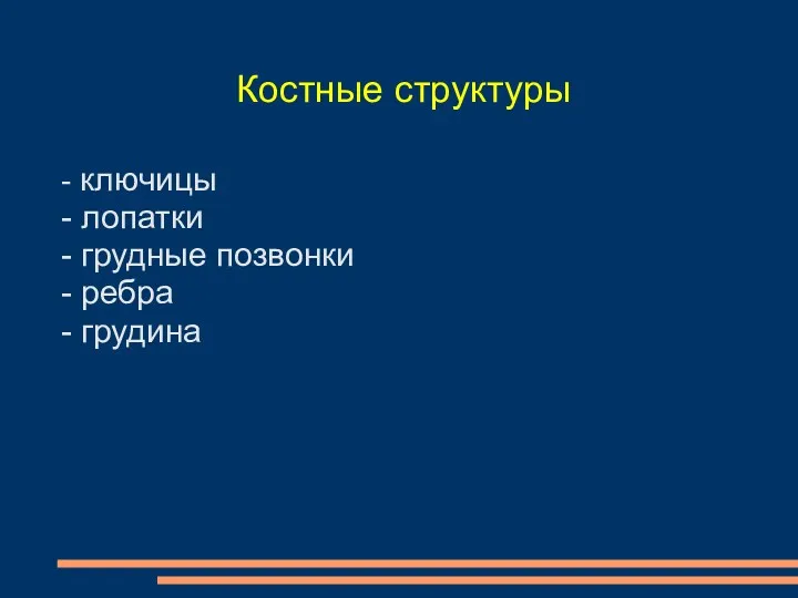 Костные структуры - ключицы - лопатки - грудные позвонки - ребра - грудина