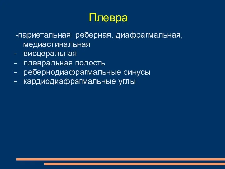 Плевра париетальная: реберная, диафрагмальная, медиастинальная - висцеральная - плевральная полость - ребернодиафрагмальные синусы - кардиодиафрагмальные углы