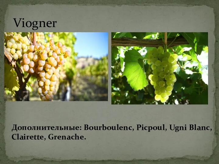 Дополнительные: Bourboulenc, Picpoul, Ugni Blanc, Clairette, Grenache. Viogner