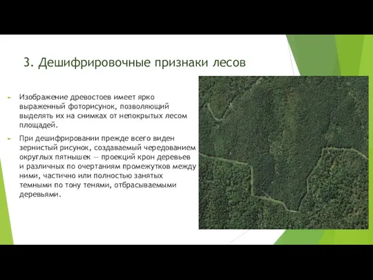 3. Дешифрировочные признаки лесов Изображение древостоев имеет ярко выраженный фоторисунок,