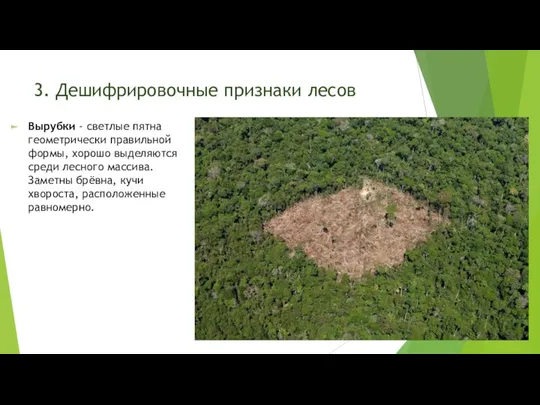 3. Дешифрировочные признаки лесов Вырубки - светлые пятна геометрически правильной