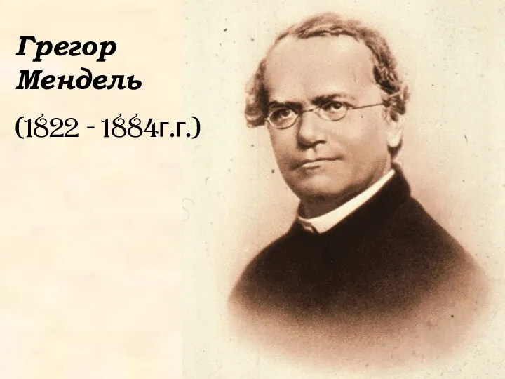 Грегор Мендель (1822 - 1884г.г.)