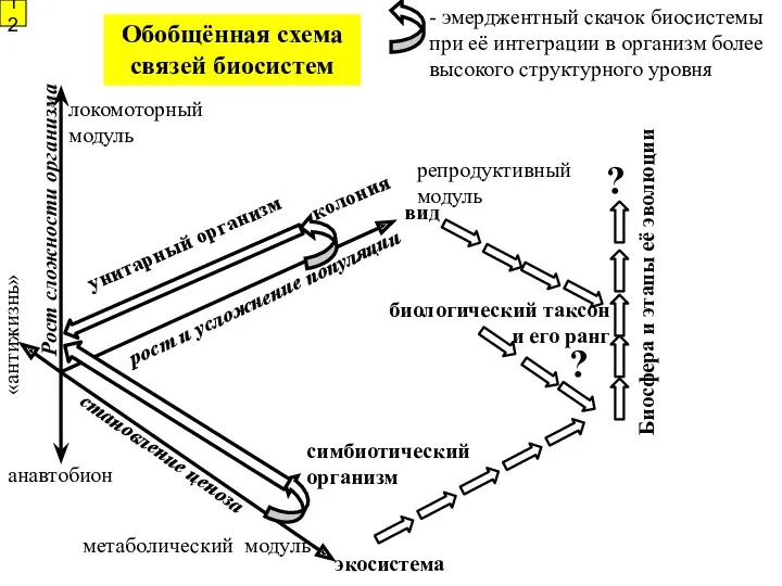 Биосфера и этапы её эволюции рост и усложнение популяции колония экосистема биологический таксон