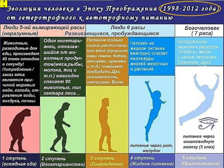 Некоторые теории антропогенеза «Научный» креационизм 32