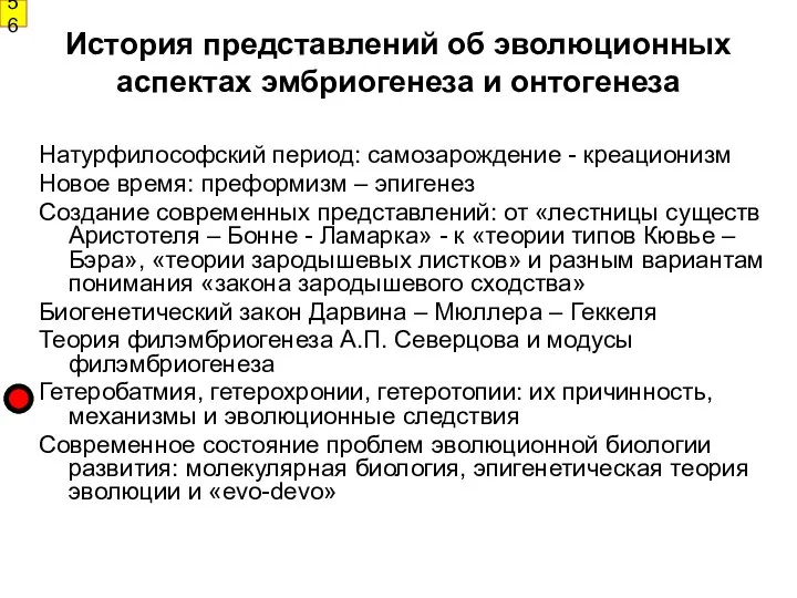 История представлений об эволюционных аспектах эмбриогенеза и онтогенеза Натурфилософский период: