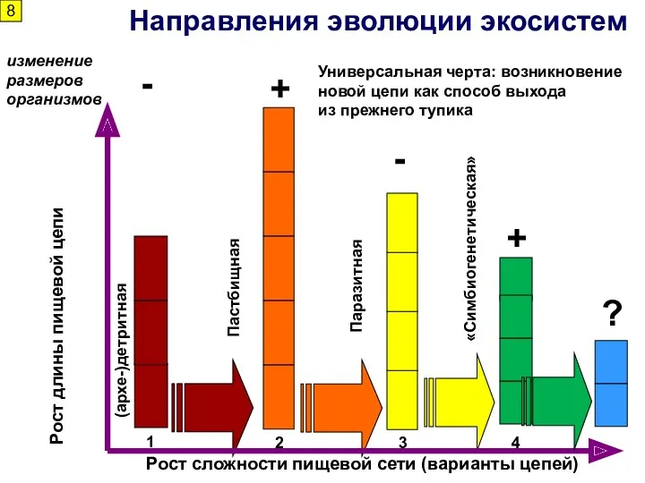 1 Направления эволюции экосистем Рост сложности пищевой сети (варианты цепей)