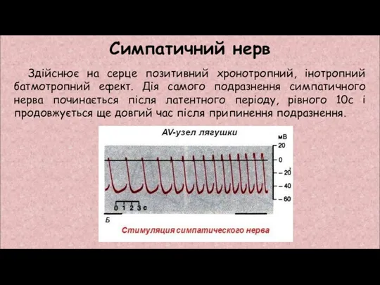 Здійснює на серце позитивний хронотропний, інотропний батмотропний ефект. Дія самого