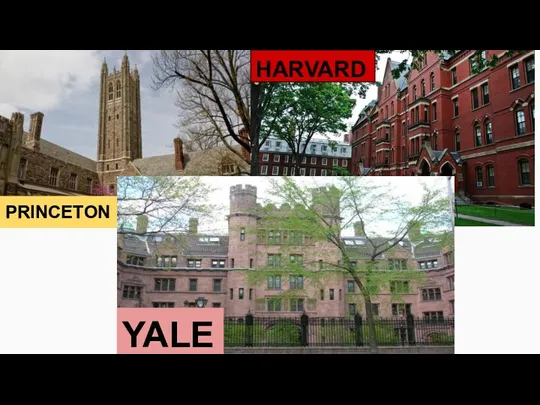 YALE PRINCETON HARVARD