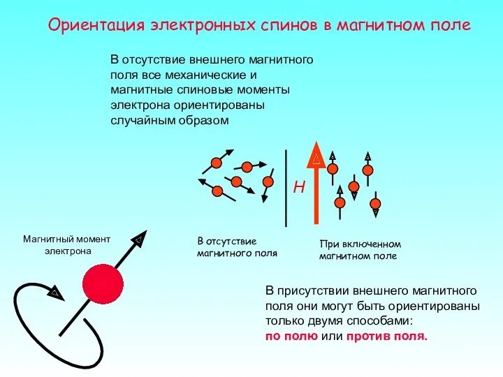 Ориентация электронных спинов в магнитном поле В отсутствие внешнего магнитного