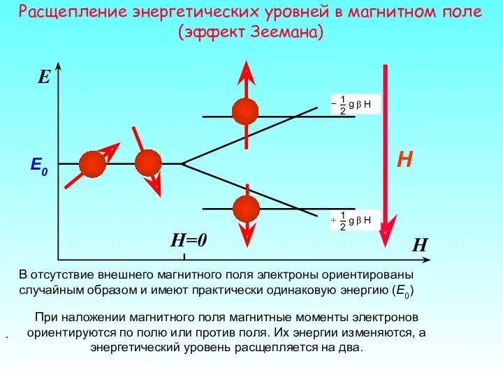 H E При наложении магнитного поля магнитные моменты электронов ориентируются