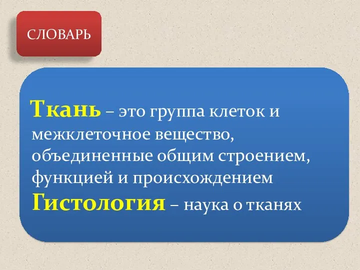 СЛОВАРЬ Ткань – это группа клеток и межклеточное вещество, объединенные общим строением, функцией