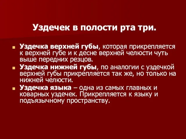 Уздечек в полости рта три. Уздечка верхней губы, которая прикрепляется