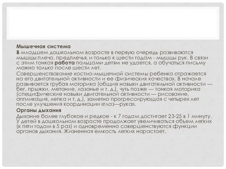 Мышечная система В младшем дошкольном возрасте в первую очередь развиваются