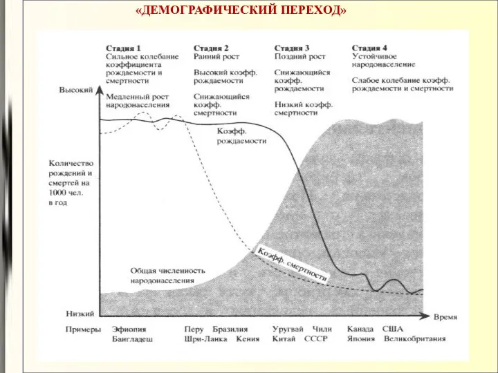 «ДЕМОГРАФИЧЕСКИЙ ПЕРЕХОД»