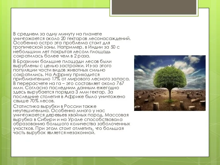 В среднем за одну минуту на планете уничтожается около 20