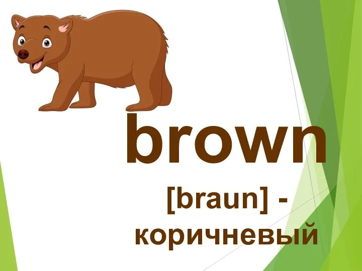 brown [braun] - коричневый