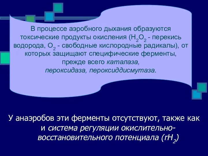 У анаэробов эти ферменты отсутствуют, также как и система регуляции