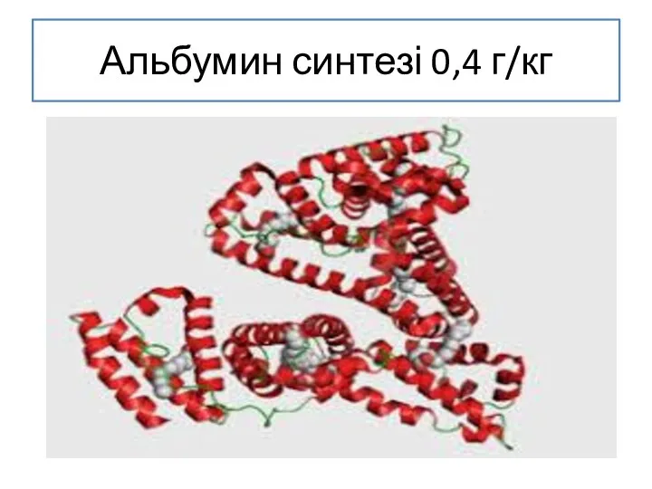 Альбумин синтезі 0,4 г/кг