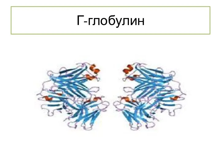 Г-глобулин