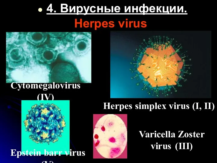 Herpes virus Herpes simplex virus (I, II) Cytomegalovirus (IV) Epstein barr virus (V)