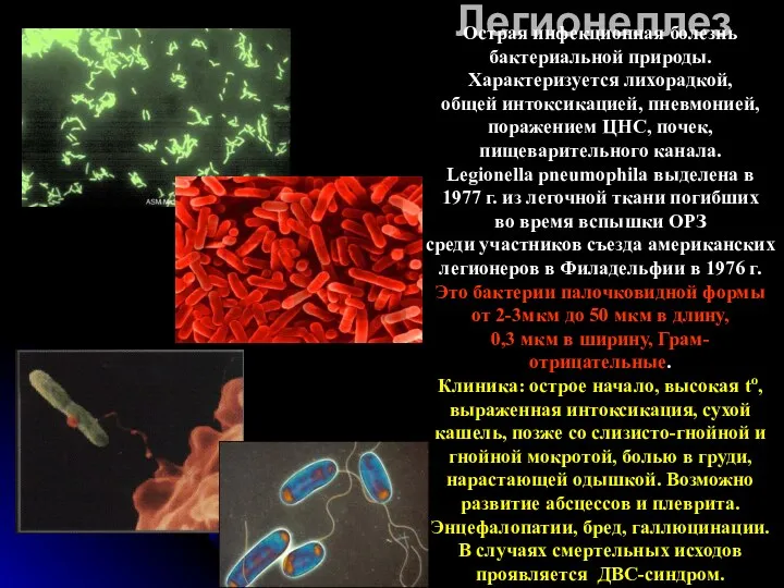 Легионеллез Острая инфекционная болезнь бактериальной природы. Характеризуется лихорадкой, общей интоксикацией, пневмонией, поражением ЦНС,