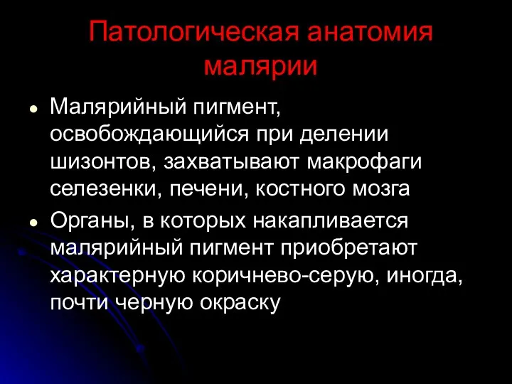 Патологическая анатомия малярии Малярийный пигмент, освобождающийся при делении шизонтов, захватывают