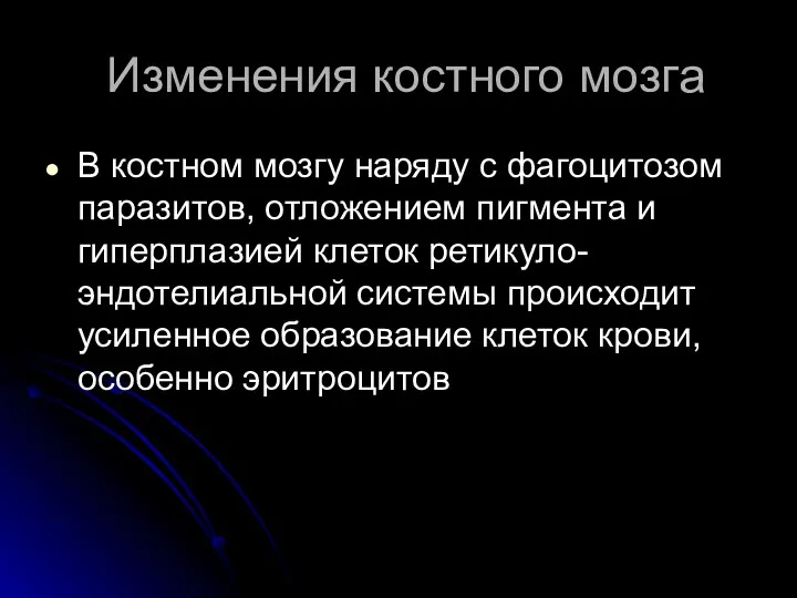 Изменения костного мозга В костном мозгу наряду с фагоцитозом паразитов, отложением пигмента и