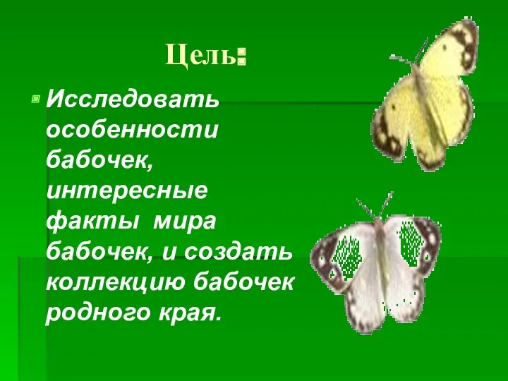 Цель: Исследовать особенности бабочек, интересные факты мира бабочек, и создать коллекцию бабочек родного края.