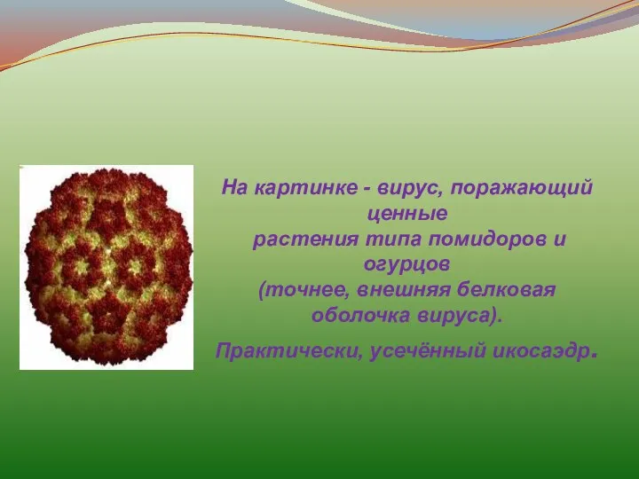 На картинке - вирус, поражающий ценные растения типа помидоров и огурцов (точнее, внешняя