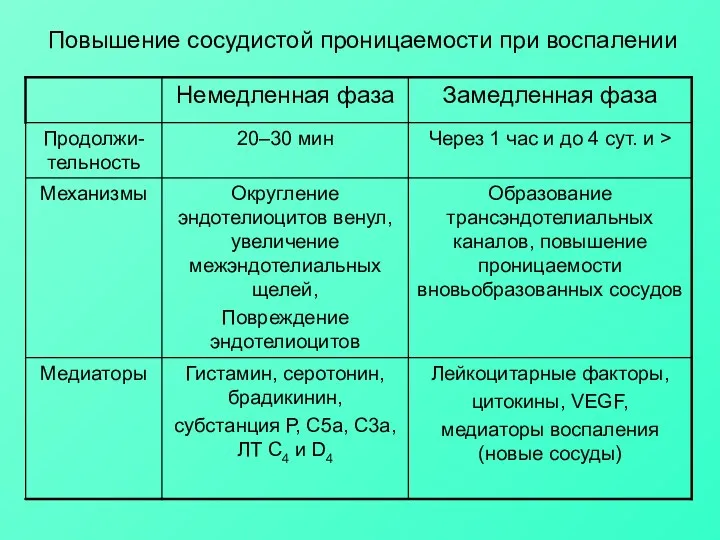 Повышение сосудистой проницаемости при воспалении