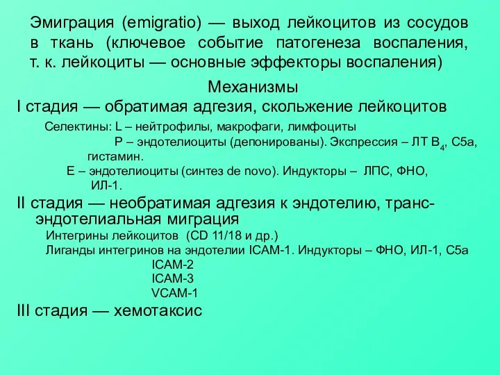 Эмиграция (emigratio) — выход лейкоцитов из сосудов в ткань (ключевое