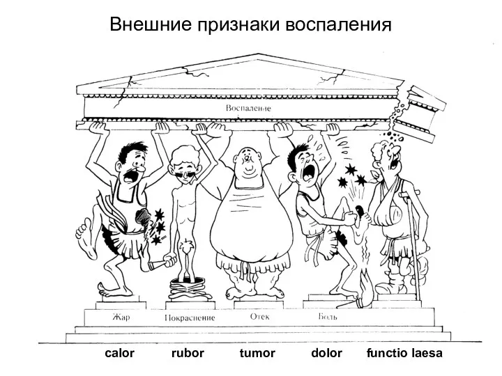 Внешние признаки воспаления rubor calor tumor dolor functio laesa