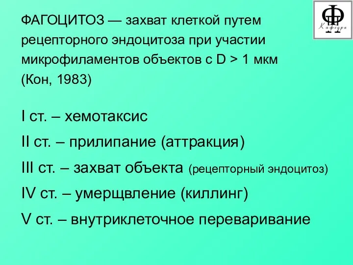 ФАГОЦИТОЗ — захват клеткой путем рецепторного эндоцитоза при участии микрофиламентов