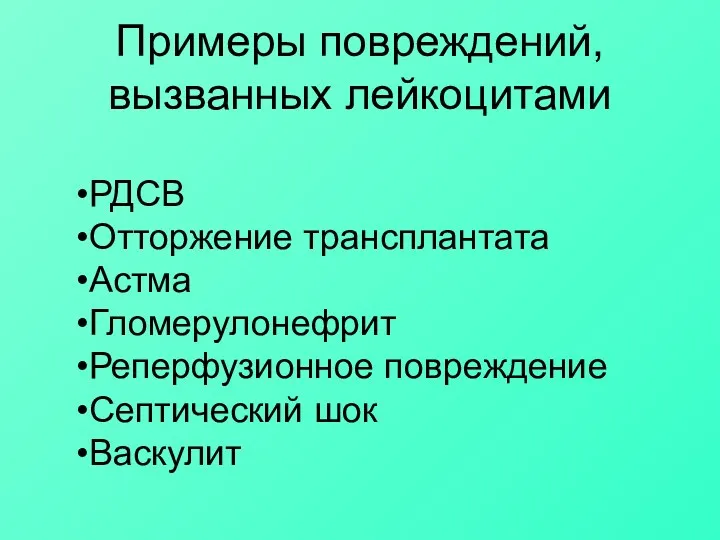 Примеры повреждений, вызванных лейкоцитами РДСВ Отторжение трансплантата Астма Гломерулонефрит Реперфузионное повреждение Септический шок Васкулит