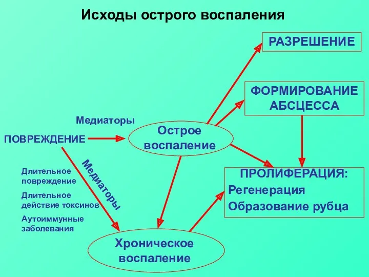 Исходы острого воспаления