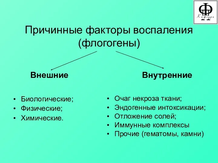 Причинные факторы воспаления (флогогены) Внешние Внутренние Очаг некроза ткани; Эндогенные