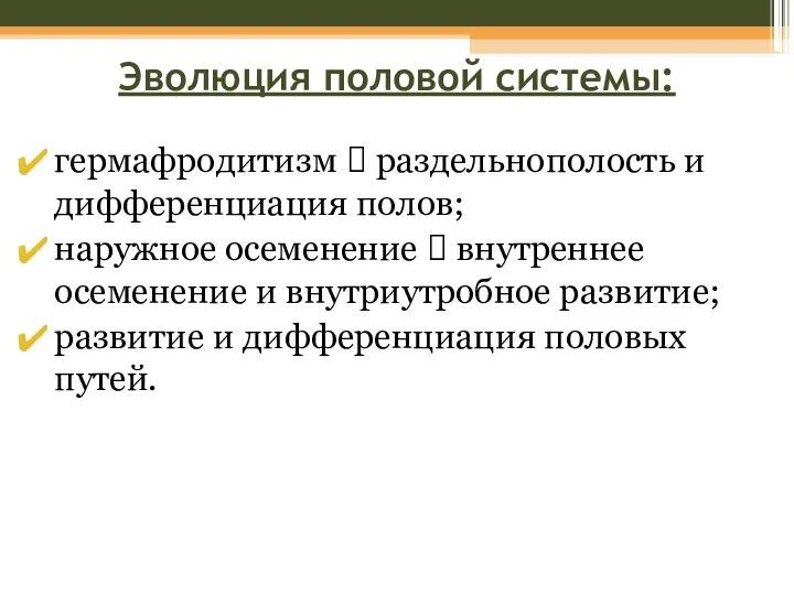 Эволюция половой системы: гермафродитизм ? раздельнополость и дифференциация полов; наружное