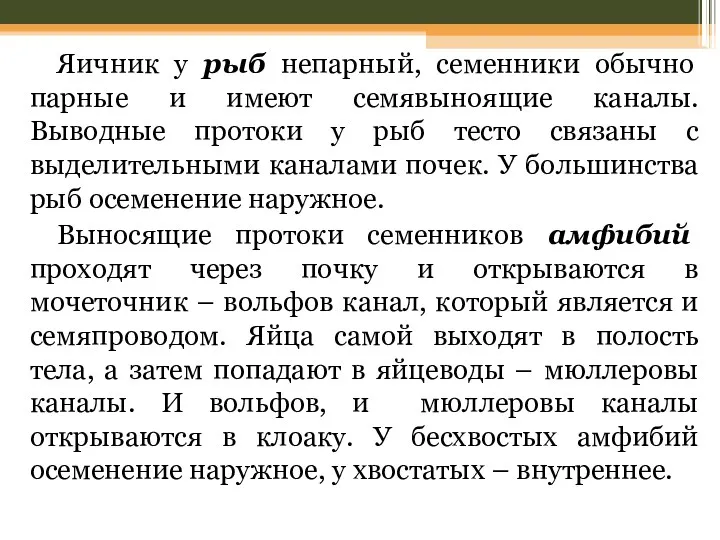 Яичник у рыб непарный, семенники обычно парные и имеют семявыноящие