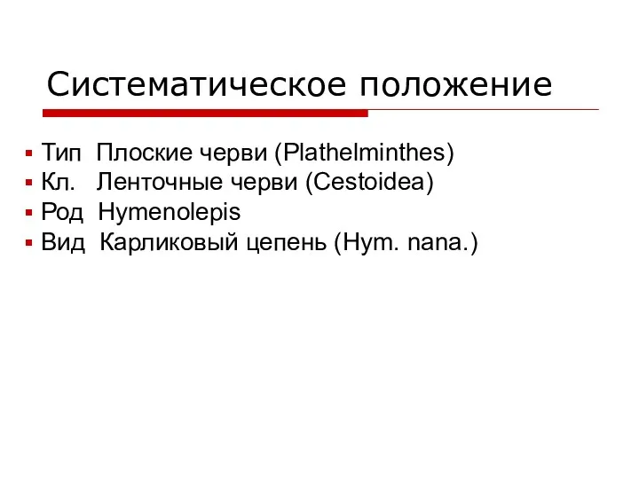 Систематическое положение Тип Плоские черви (Plathelminthes) Кл. Ленточные черви (Cestoidea)