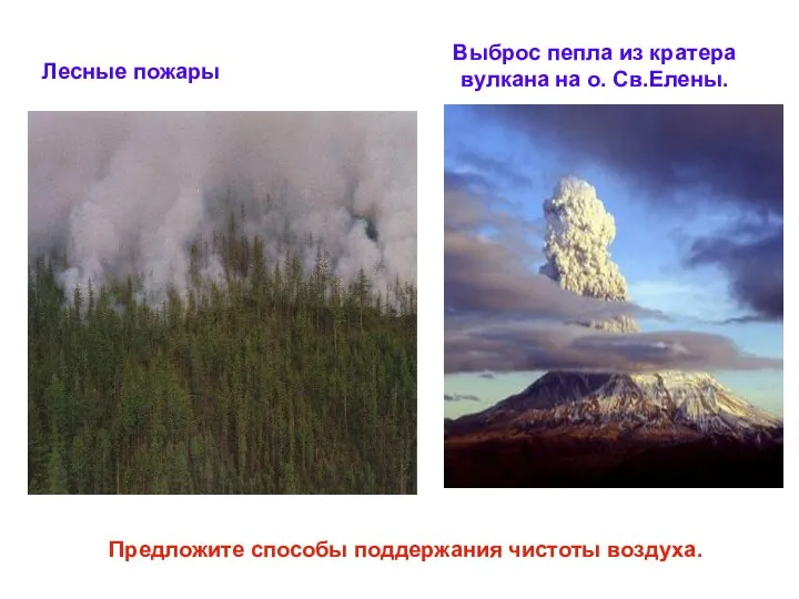 Выброс пепла из кратера вулкана на о. Св.Елены. Лесные пожары Предложите способы поддержания чистоты воздуха.