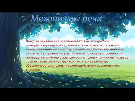 Механизмы речи Каждый речевой акт обеспечивается не конкретной «специализированной» группой